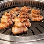 熟成肉専門店 ヨプの王豚塩焼 - 