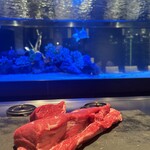 279936384 - 