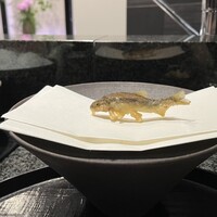 天雅 - 
