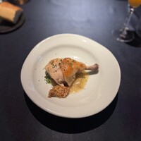 セルサルサーレ - 