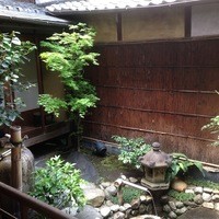 雪梅花 菜根譚 - 