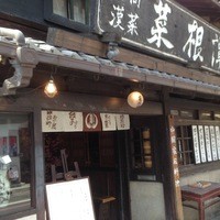 雪梅花 菜根譚 - 