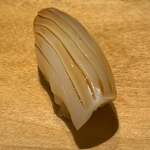 寿し おおはた - 