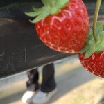 JA信州うえだ 塩田東山観光農園 直売所 - 料理写真: