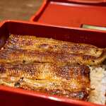 新宿 うなぎ菊川 - 