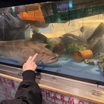 あまの - これがアラ（クエ）