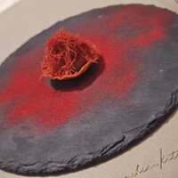 Maison DIA Mizuguchi - 
