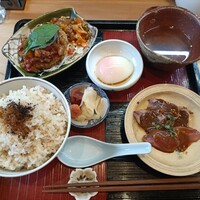 高麗橋桜花 - 