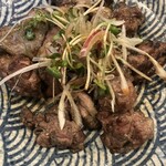 虎視眈々 - 親鶏炭火焼き
