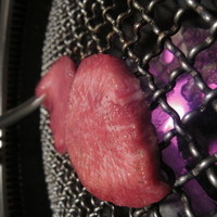 焼肉チャンピオン ペントハウス - 