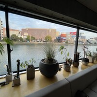 TRATTORIA KIKUYA - 