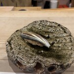 鮨 やしま - コハダ