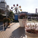 NIBOSHI MANIA - かまたえん