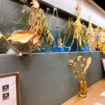 SEABIRD COLONY 銀座本店 - 