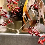 SEABIRD COLONY 銀座本店 - 