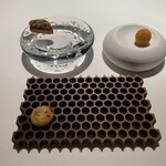 ブレストンコート ユカワタン - 