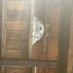 月島もんじゃ たまとや 本店 - 