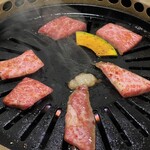 ニューたけさん - 