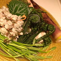 モナリザ 恵比寿店 - 山菜をオーダーしたらこの品揃え！