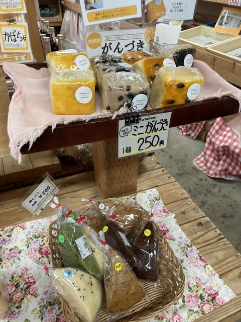 松の実 - 雫石町その他（その他）の写真