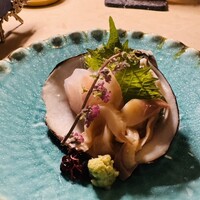 庵樹 - 