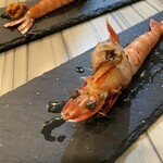 カヴォード シャサーニュ - 