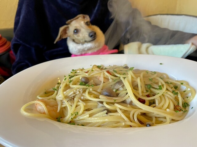 TRATTORIA Mocco photo 2