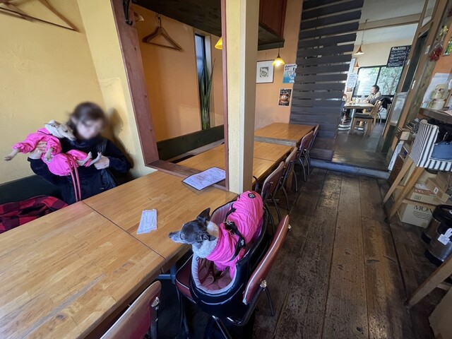 TRATTORIA Mocco photo 4