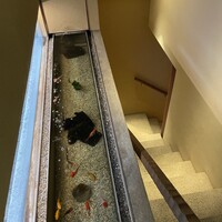 蓮 三四七 - 