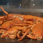 FRENCH TEPPAN 静香庵 - 