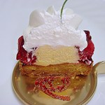 Mont St. Clair - ｶﾞﾚｯﾄﾌﾗﾝﾎﾞﾜの断面ですｗ