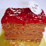 Mont St. Clair - ｴﾚｶﾞﾝｽの断面ですｗ