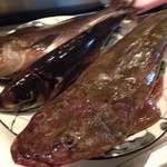 二代目 やっこ - 80cmマゴチ、関イサキ、関アジ。