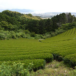 ザ・テラス - オテルの庭の端は茶畑