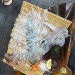 活魚料理 かべしま - いか活造り