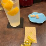 自家製レモンサワー・リキュール専門店Limon Salud - 