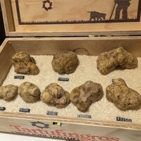 マルゴット エ バッチャーレ - 
