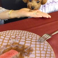 クラージュ - 