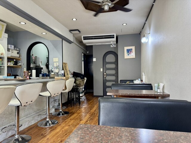 Kissa Monica photo 4