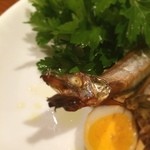 ミニヨン　坂ノ上 - がおー！©風太くん