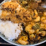 カレーノトリコ - 