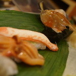 千春鮨 - ヘッド