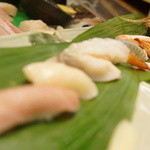 千春鮨 - おまかせ