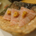 千春鮨 - カマトロ