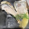 oyster market カキイロハ