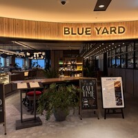 BLUE YARD - 