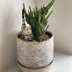 カレー すみた - 