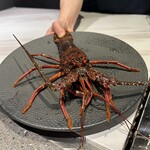 恵比寿 鉄板焼き Sublime - 