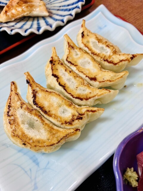 Shonan Chigasaki Koufuku Gyoza - Chigasaki/Dumplings | Tabelog