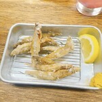 大衆酒場 増やま - 